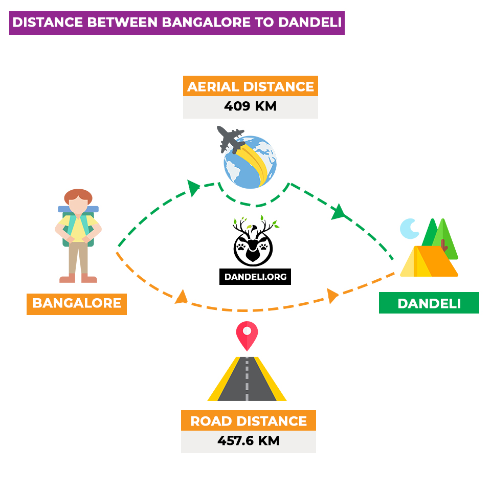 bangalore dandeli distance