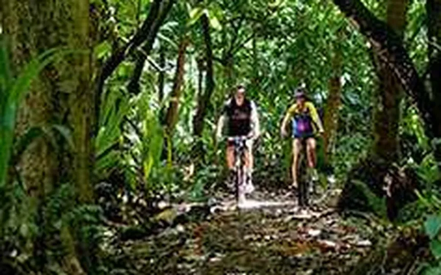 Cycling on forest trails in Dandeli