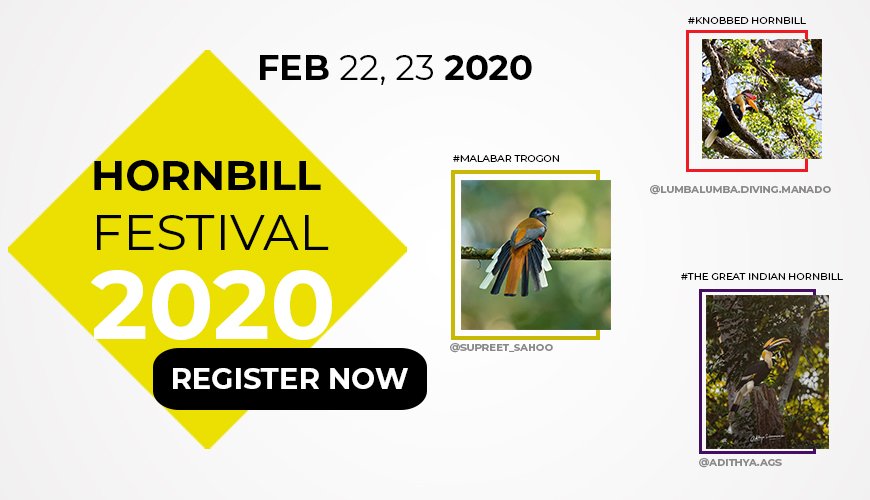 Hornbill Festival in Dandeli, Karnataka