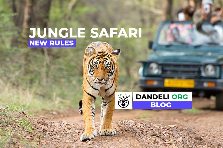 Tiger safari and forest tourism guidelines for wildlife reserves