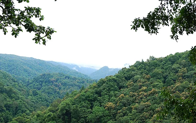 Forest stay near Jungle Edge Resort Badakanshirda Dandeli