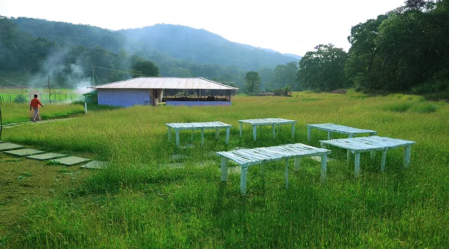 Lawn and open pavilion with forest hills at Dark Forest Resort Homestay Dandeli