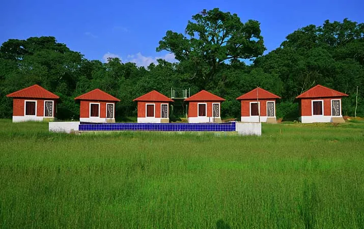 Cottage exterior at Dark Forest Resort Homestay Dandeli