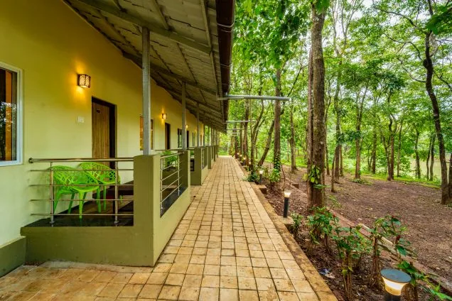 Forest-edge cottage walkway at Jungle View Cottage Dandeli