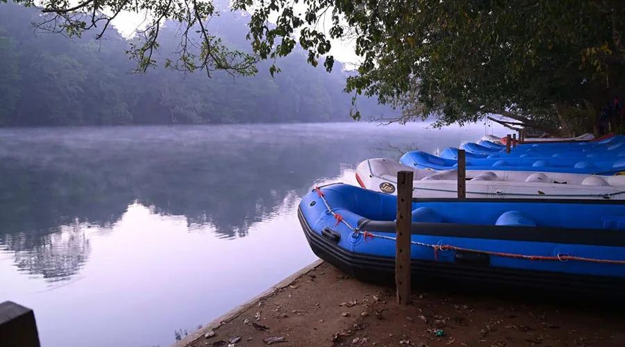 River-view room seating and bed at Laguna River Resort Dandeli