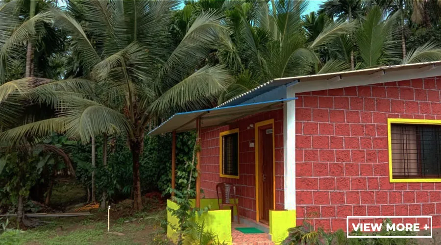 Red-brick cottage with yellow window frames at Lemon Tree Jungle Stay
