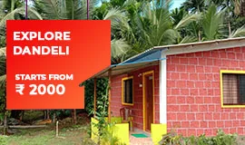 Package promo card for Lemon Tree Jungle Stay Dandeli
