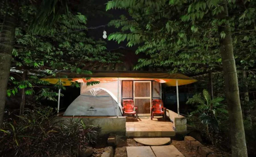 Raised tent platform with chairs at night at Pepper Paradise Homestay Dandeli