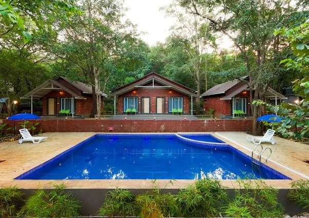 Swimming pool and cottages at Rain Forest Dandeli, Ganeshgudi