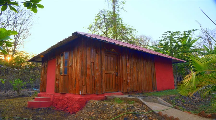 Forest-edge stay at Rangers Camp, Bamanagi