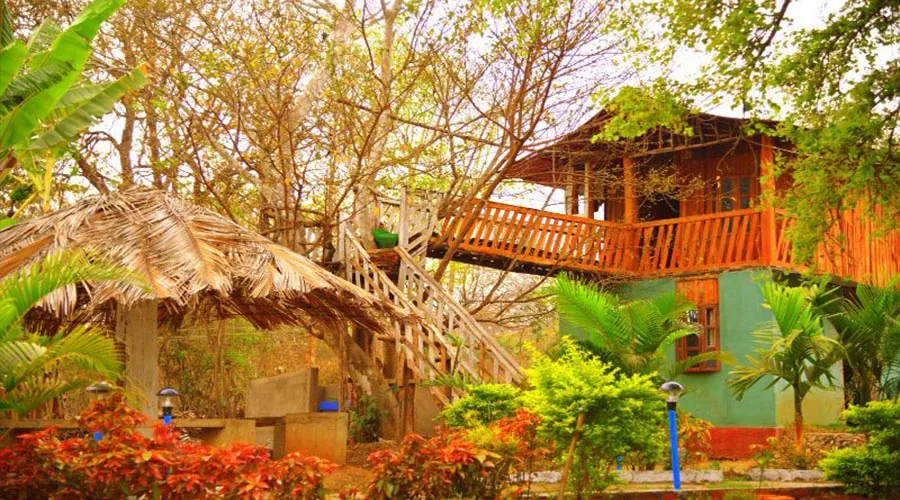 Tree-bridge lodge at Rangers Camp Dandeli