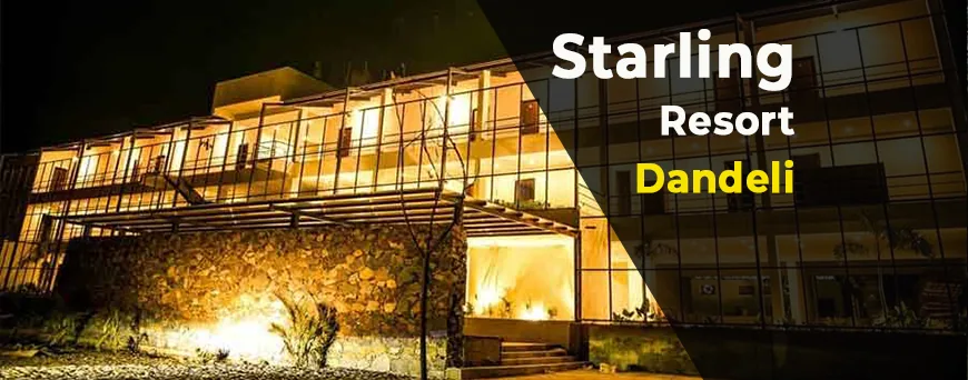 Night view of Starling Resort Dandeli building