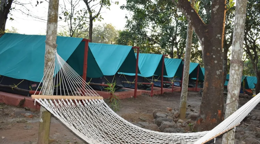 Hammock and tent row at Tiger Camp Dandeli, Barchi Cross