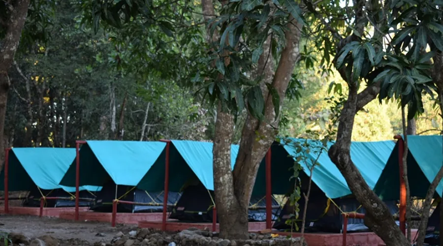 Forest stay at Tiger Camp Dandeli, Gobral
