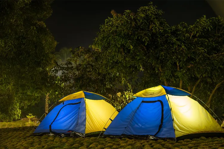 Forest-edge resort photo at Tusker Trails Dandeli
