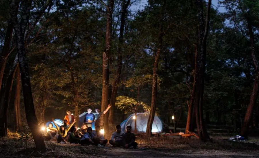 Night campfire group among forest tents at Wild Kasarwadi Resort