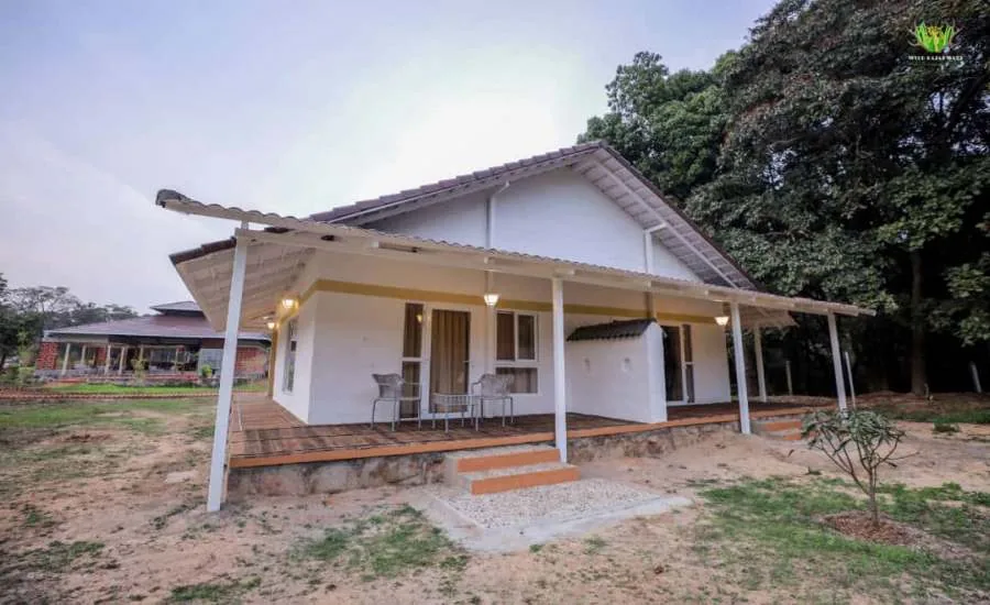 Forest-edge stay at Wild Kasarwadi Resort