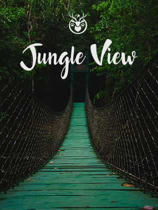 dandeli homestay package