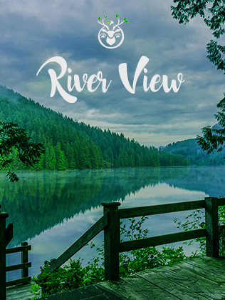 dandeli homestay package