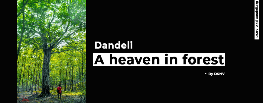 Dandeli a heaven in forest