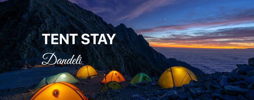 dandeli tent stay price