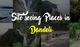 Site Seeing Places in Dandeli
