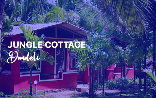 dandeli tour package