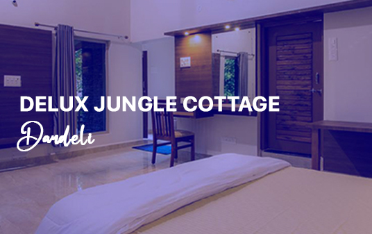 dandeli tour package