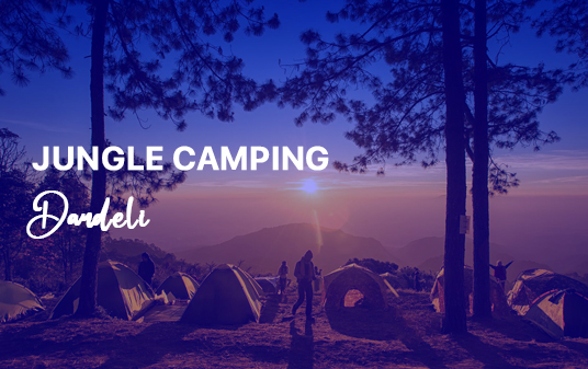 dandeli tour package