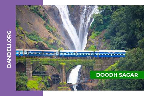 Places To Visit in Dandeli