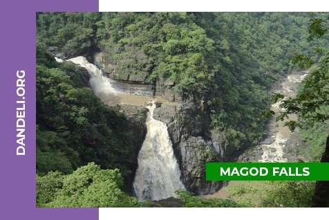 Places To Visit in Dandeli