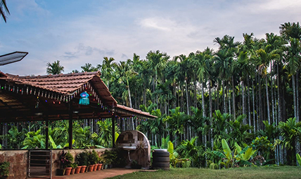 Pepper Paradise Dandeli