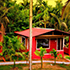 pune to dandeli package
