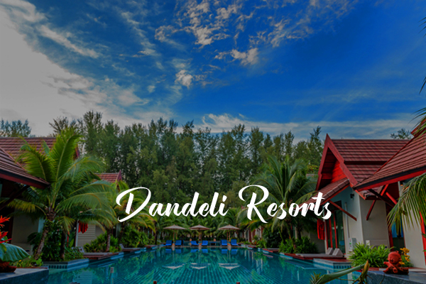 sanitized rooms in dandeli